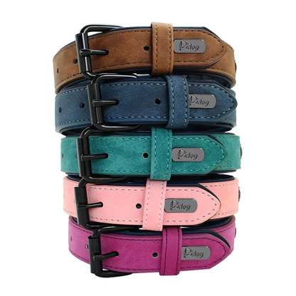 dog-collar-colors