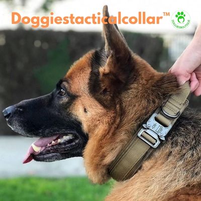Dog Collar | Doggiestacticalcollar™