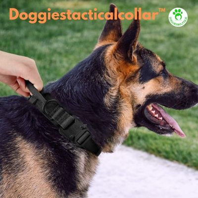 Dog Collar | Doggiestacticalcollar™