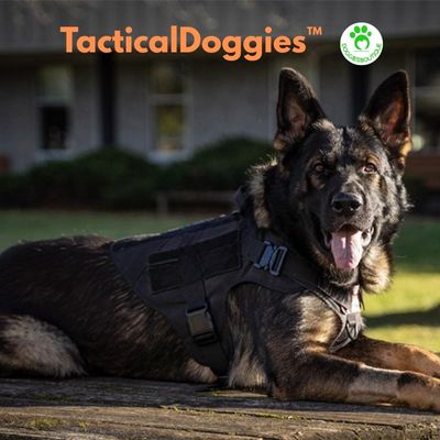 dog Harness | TacticalDoggies™