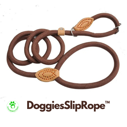 dog-lead-brown