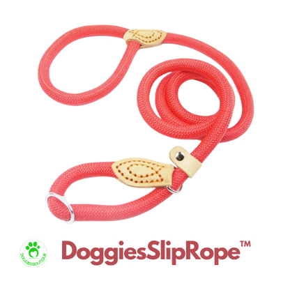 dog-lead-red