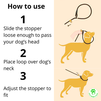 dog-lead-slip