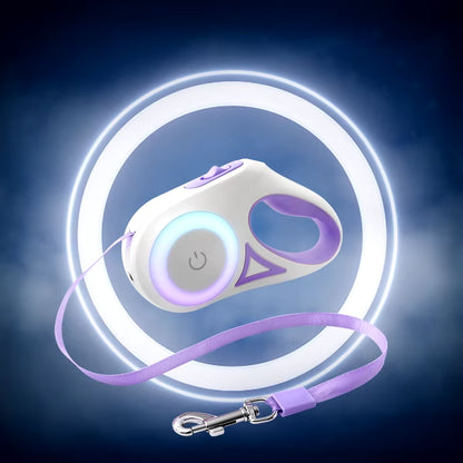 dog-leash-led