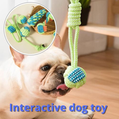 Dog chew toy