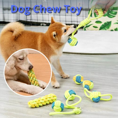 Dog chew toy