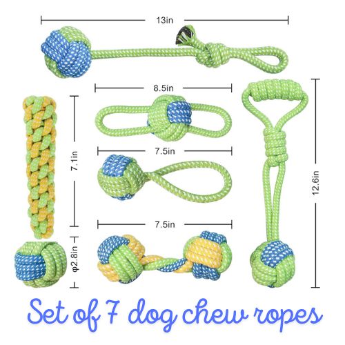 Dog chew toy