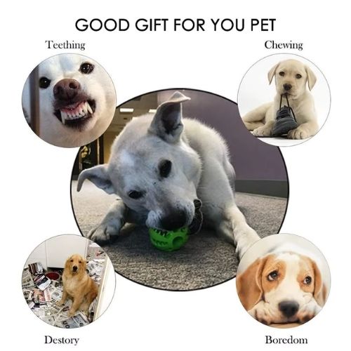 dog-treat-ball-teeth
