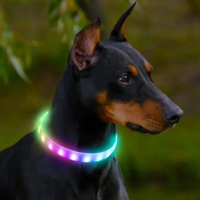 Rechargeable RGB LED Dog Collar