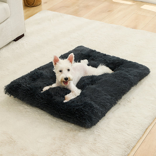 dog_cushion_cozzy