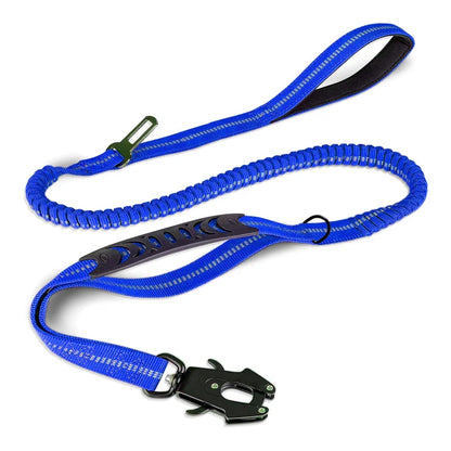 dog lead blue
