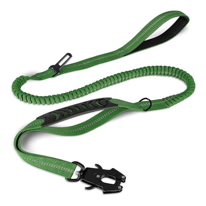 dog lead green