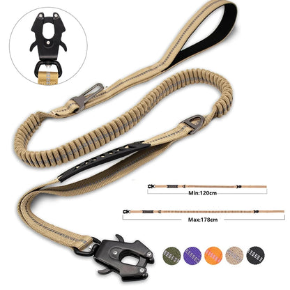 dog lead practical