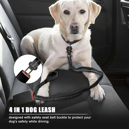 dog lead safe