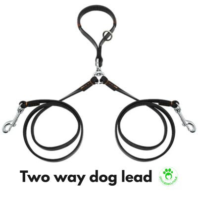 Double dog lead