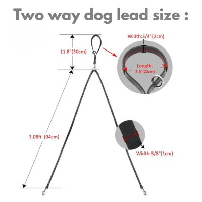 Double dog lead