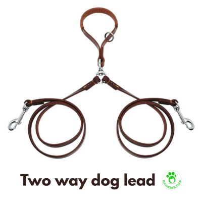 Double dog lead