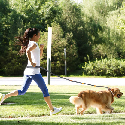 Dog training lead | Hands Free Lead™