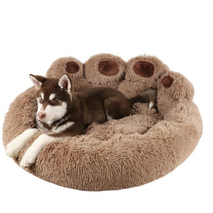 dogsofabedbrown