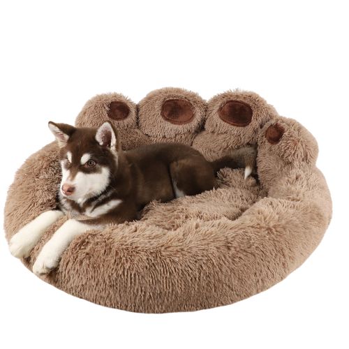 dogsofabedbrown