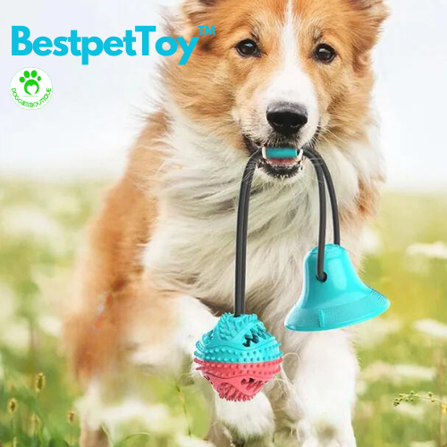 Dog toys chew and pull |BestpetToy™