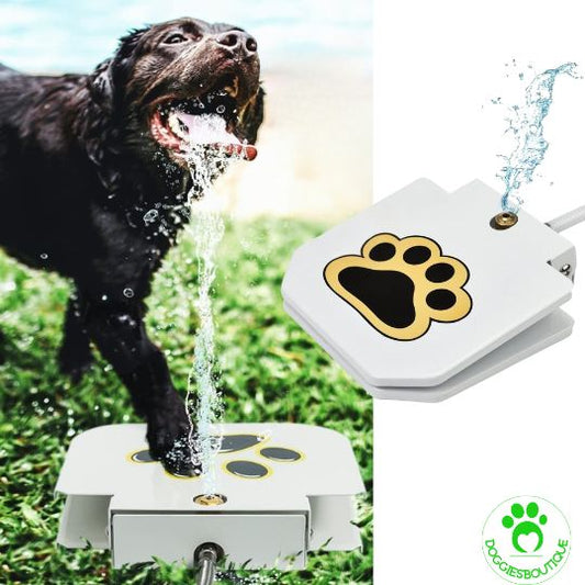 dog toy | Water Splash