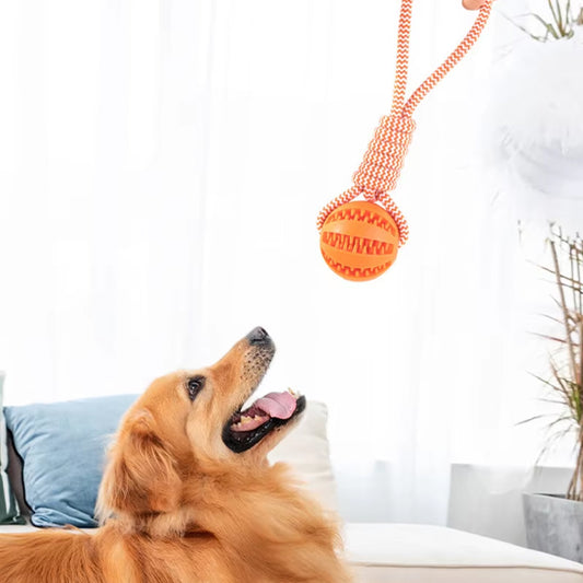 interactive_dog_toy
