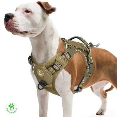 Tactical no pull dog harness
