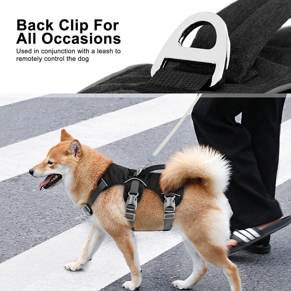 small-dog-harness-dring