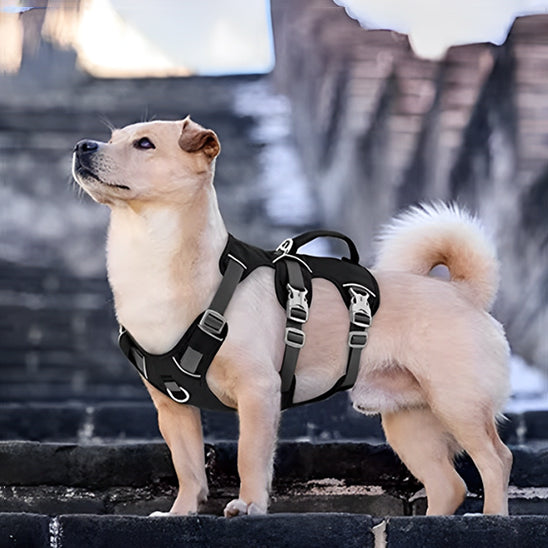 small-dog-harness-fancy
