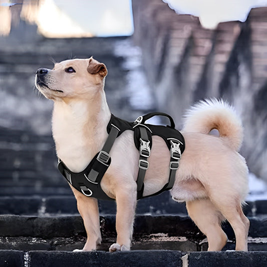 small-dog-harness-fancy