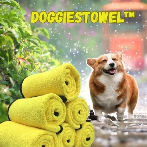 superabsorbentdogtowelpractical